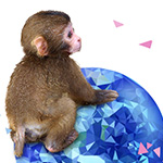 年賀状（UNLIMITED2016年度）